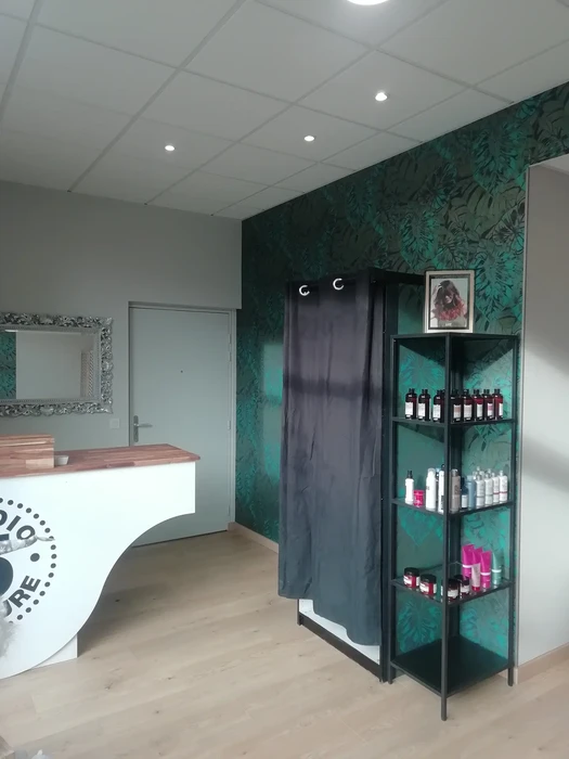 Salon de coiffure moderne avec comptoir d'accueil blanc et plan de travail en bois. Étagères murales noires exposant produits capillaires professionnels sur mur vert à motifs floraux. Miroir encadré, sol parquet clair, plafond suspendu avec éclairage LED intégré, porte vitrée dépoli.