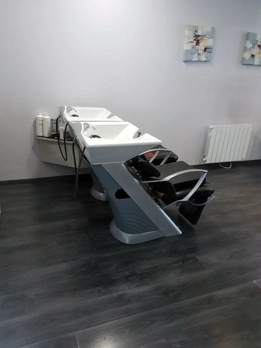 Salon de coiffure moderne avec deux bacs de lavage professionnels installés côte à côte. Espace intérieur aux murs blancs, sol en parquet foncé, radiateur électrique et tableaux décoratifs muraux.