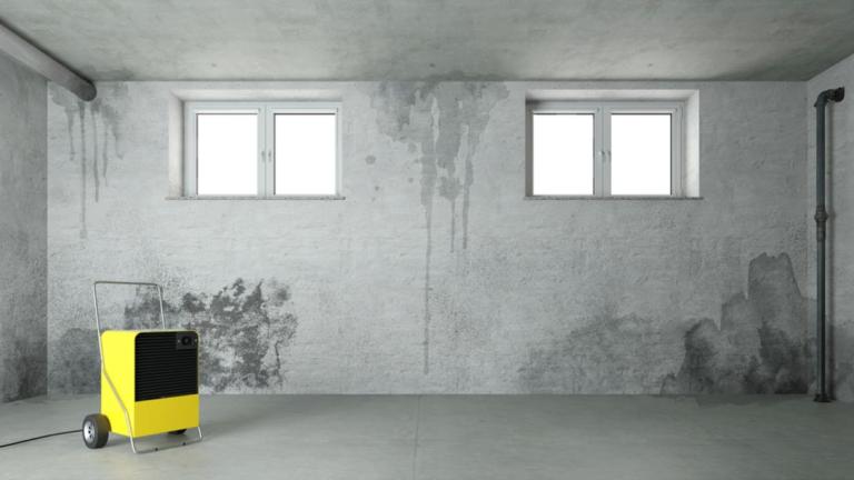 Traitement de l'humidité à Dinan : nos solutions efficaces